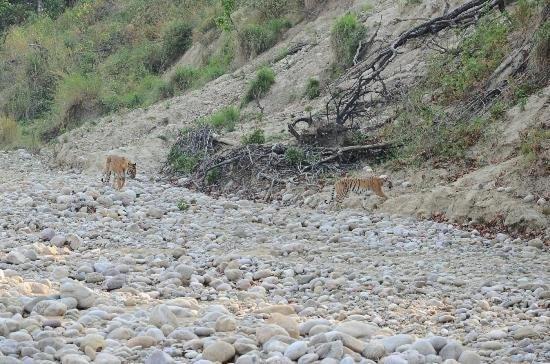 Jim Corbett Resort Ramnagar  Ngoại thất bức ảnh