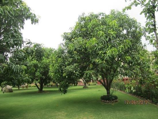 Jim Corbett Resort Ramnagar  Ngoại thất bức ảnh